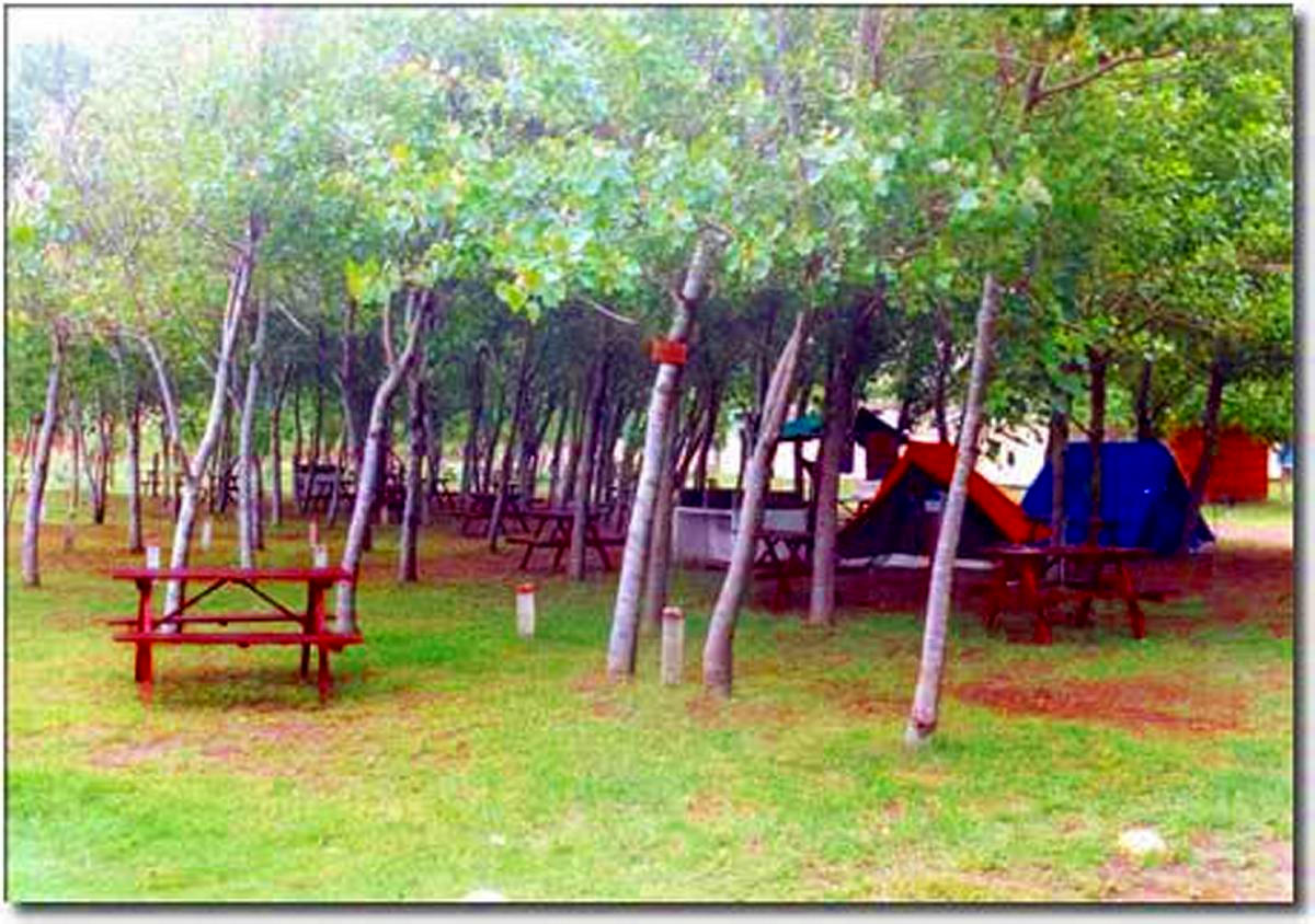 Camping estancia del carmen adidas cancun trainers